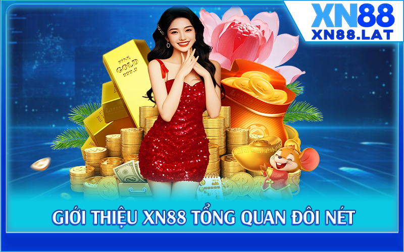 Giới thiệu XN88 tổng quan đôi nét